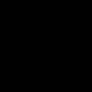 Meet your Posher, Jayla